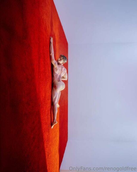 renogoldfree star sexy pic