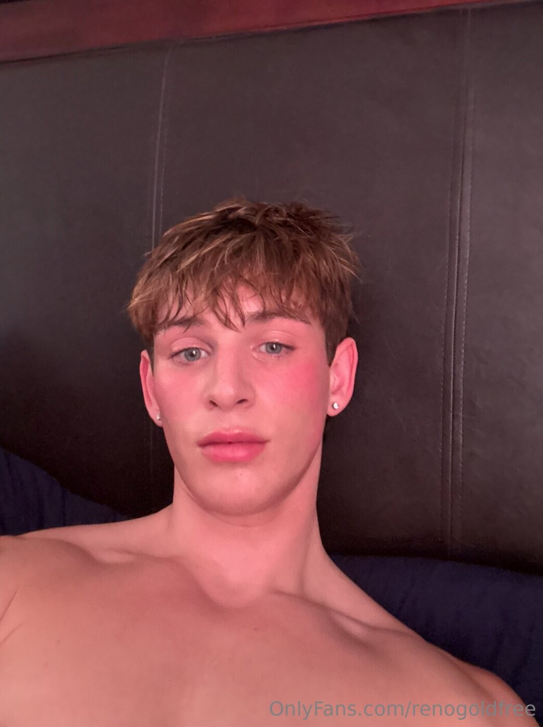 renogoldfree best model img