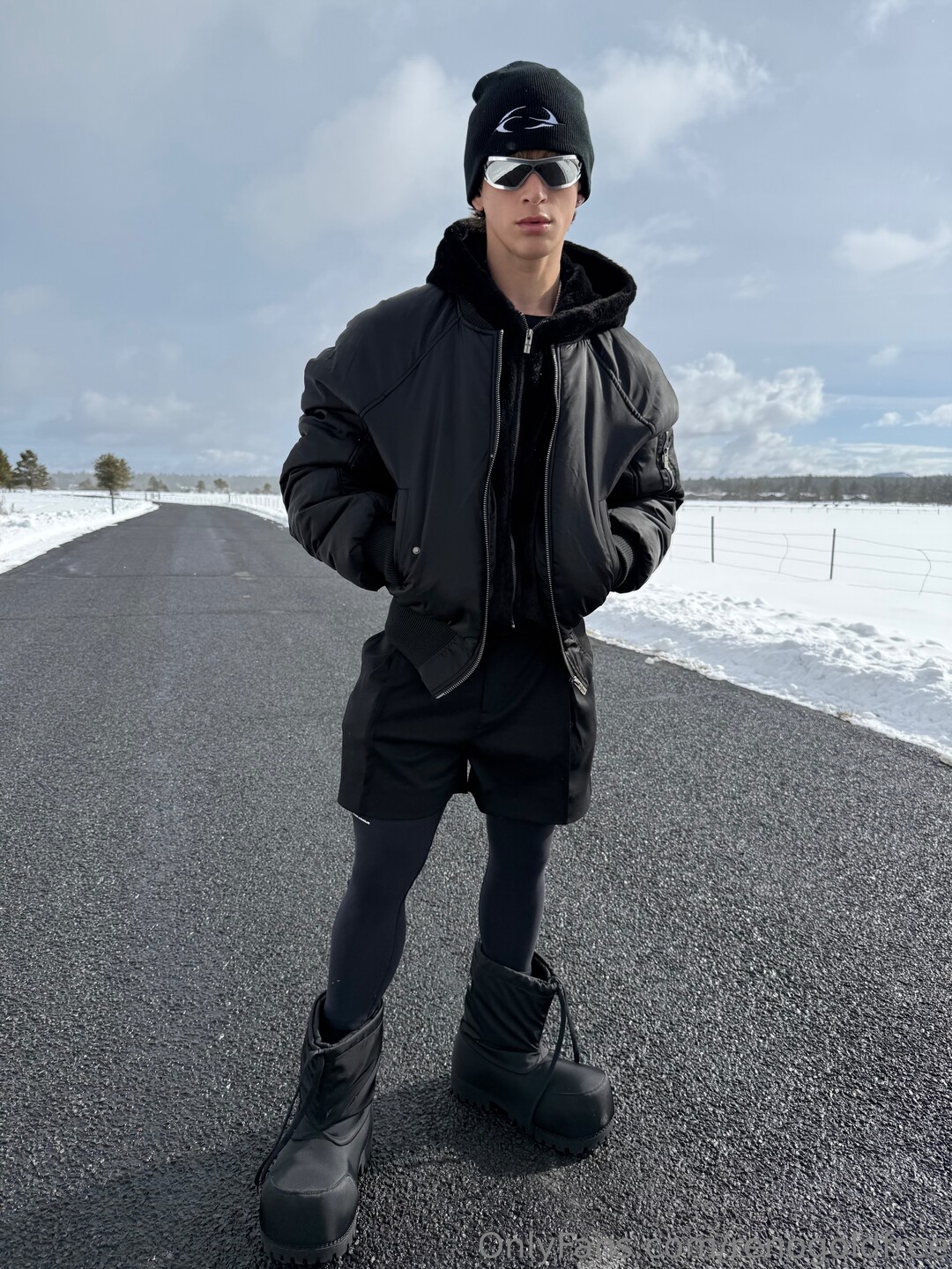 renogoldfree pornstar art pic