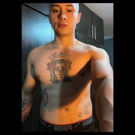 RENATO star perfect galleries