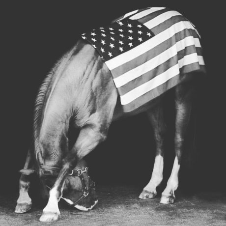 Rebel Country2002 pornographic model pic