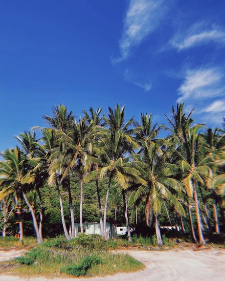 Tila Maria star xxx pics