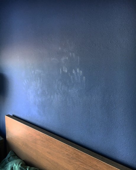 ray vox pornstar perfect picture