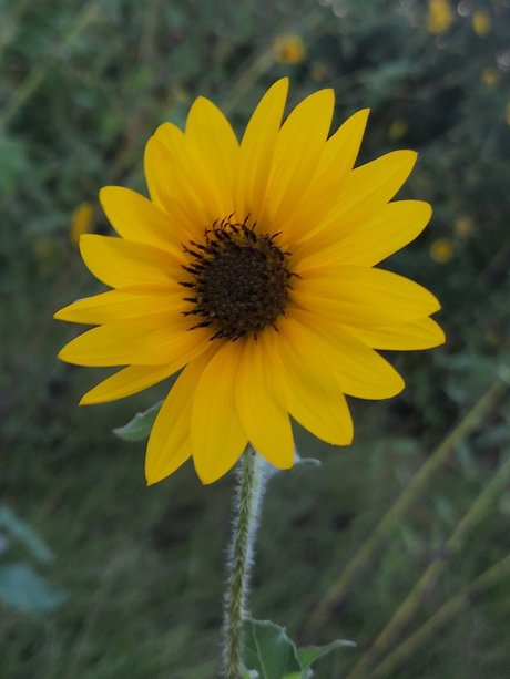 Mari1007 beautiful star images