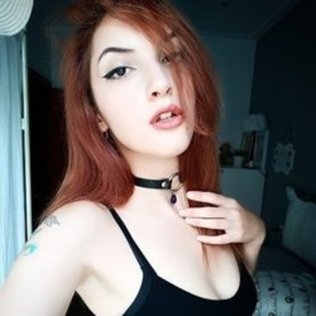 Margout Darko star top photo