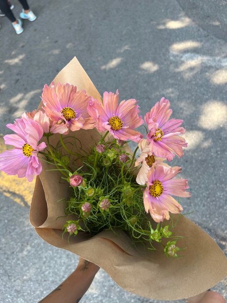 _Margot art actress pictures