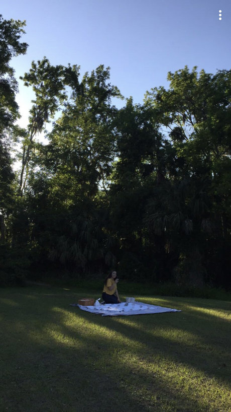 mar bear star beautiful img