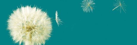 Manuel Ballher star exclusive photo