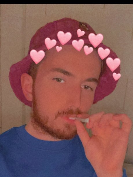 Ryan Boyd porn actress images