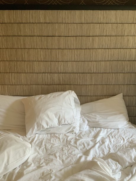 Romeo Antonio pornstar adult pics