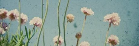 sports star onlyfans sexy naked img