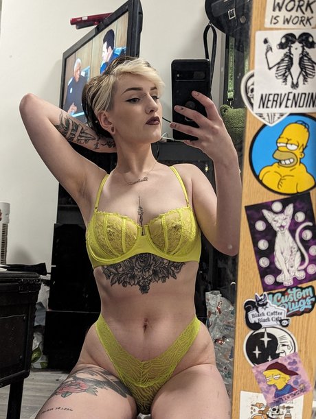 _Marie kitten_ nice star archive