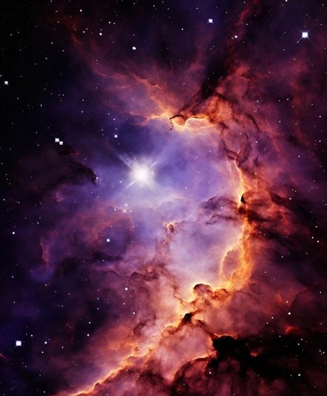 barbaratrevi star art img