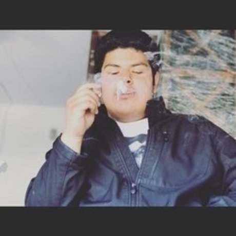 projekt bhris exclusive actress image