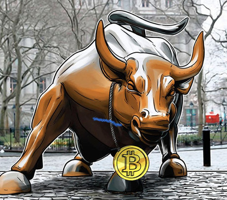 FreeChoice model nice img