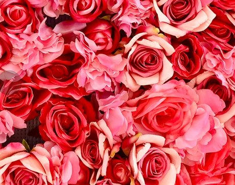 Bangin Blair hot actress archive