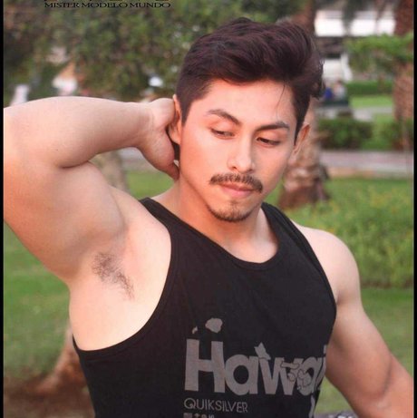 valentino balvin star adult photo