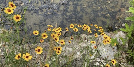 Bananacakes_ star exclusive picture