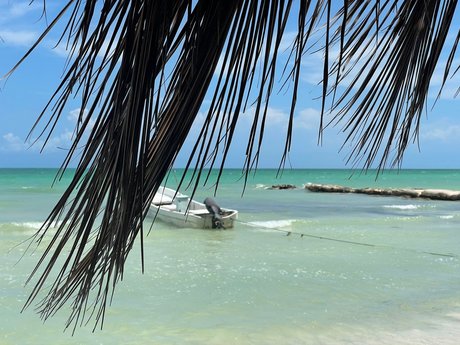 Monna high quality model image