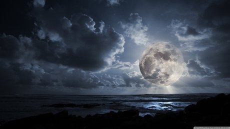 Rub a bud adult star pics