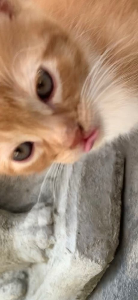 Isaac Gonzalez pretty actress pics