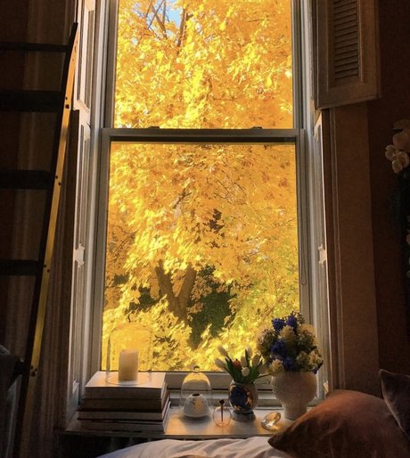 _Bigredd__ exclusive pornstar photo