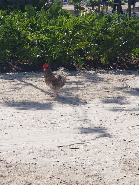 MeetMyMeat nudes model archive