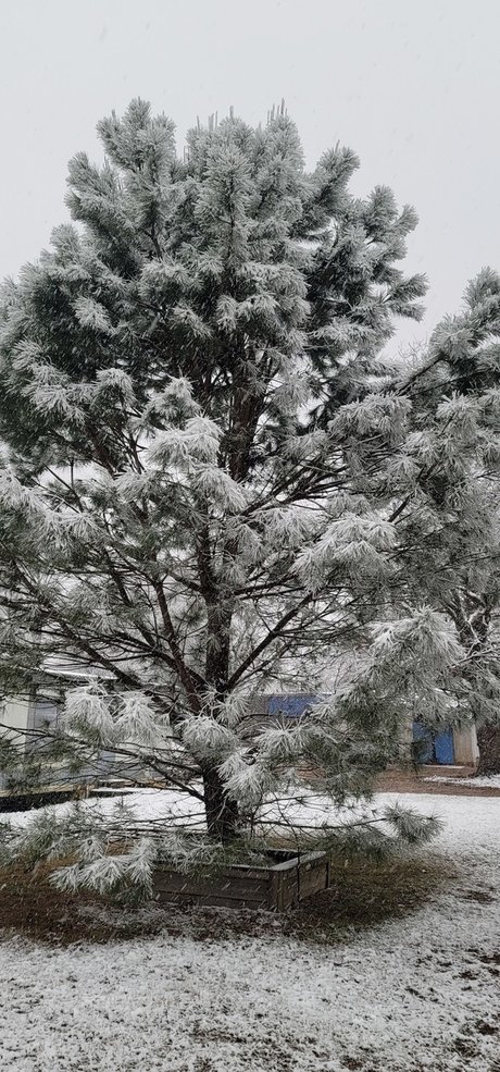 skinny babe onlyfans pretty picture