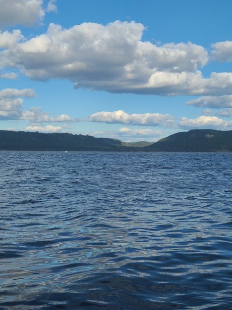 Mr D pornstar sexy picture