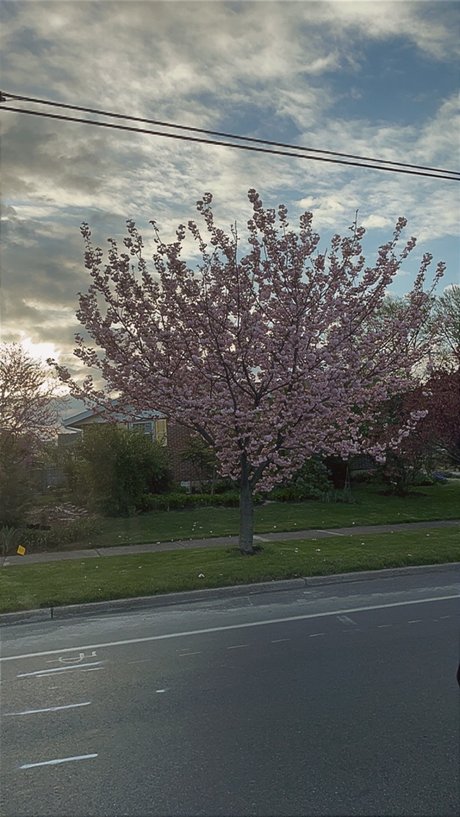 Mbaby nude model gallery