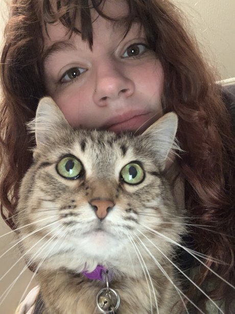 mimichuu star perfect pic