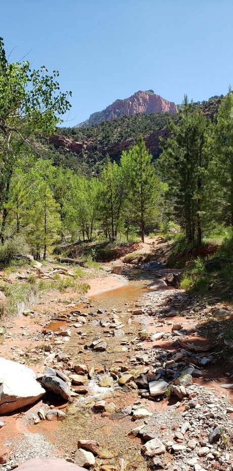 James Webb_ nudes model pics