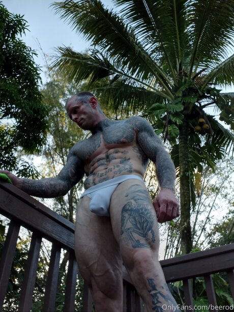 Brandon Blye adult star archive