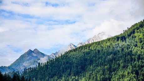 Bela San TS best actress pictures