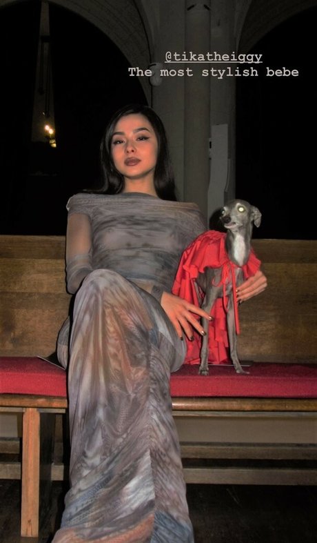 fitnessmodel onlyfans naked archive