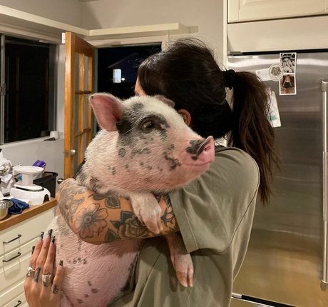 cameltoe onlyfans beautiful porn archive