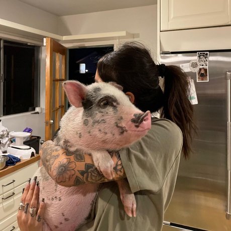 asian cuckold onlyfans art nude archive