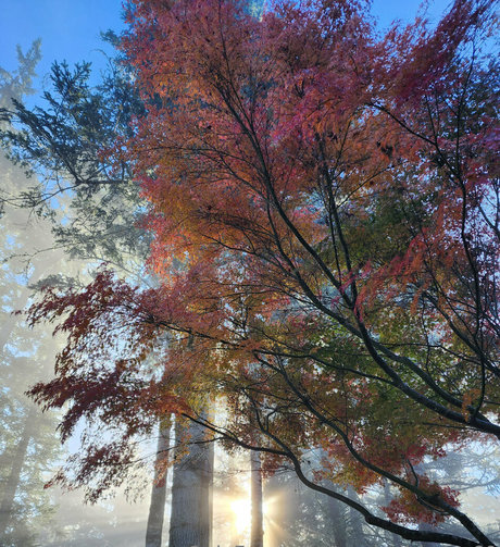 big booty bbw onlyfans porno images