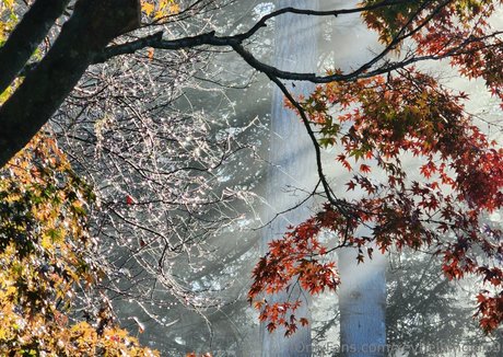 xevbellringer69 nudes pornstar archive