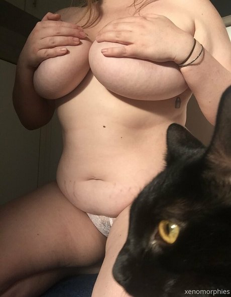 xenomorphies hd star photos