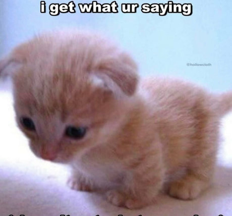 softbunnyrae exclusive actress picture