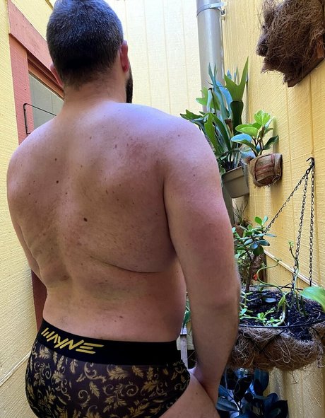 ste3evn star perfect image