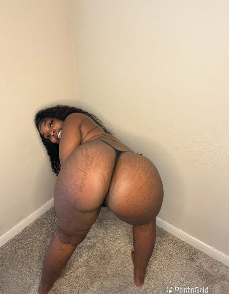 donsha21 exclusive pornstar img