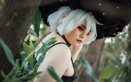 ponkapion star best photo