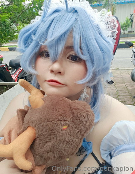 ponkapion high quality model archive