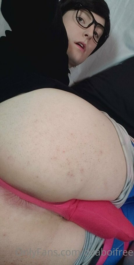 dvaboifree pornstar free archive