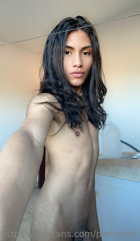 pietravdk star best archive