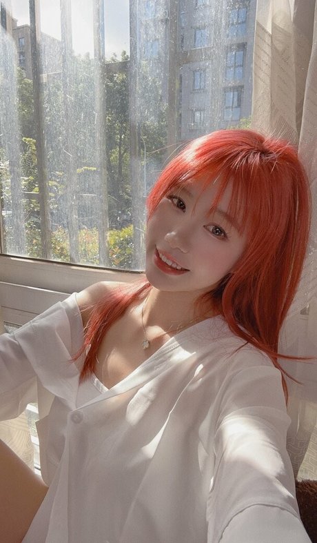 MisaCat33 star free photo