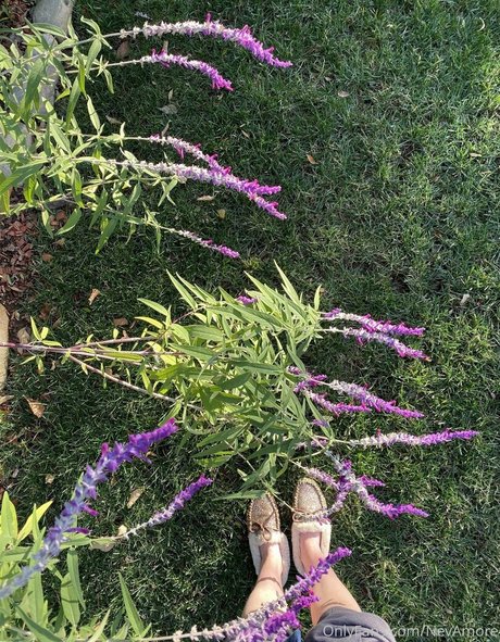 nevamore naked star galleries