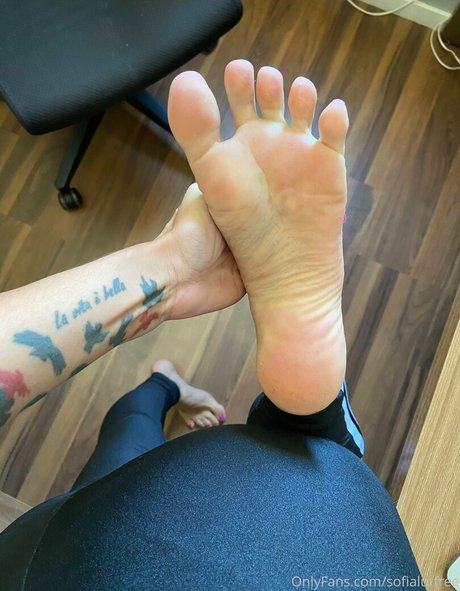 sofialutfree pornstar xxx archive